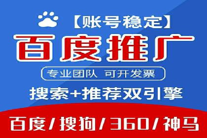 电商成功案例：竞价推广助力品牌崛起