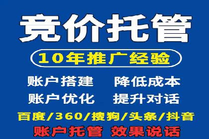 某某SEM团队成功提升网站流量与转化率的实战经验